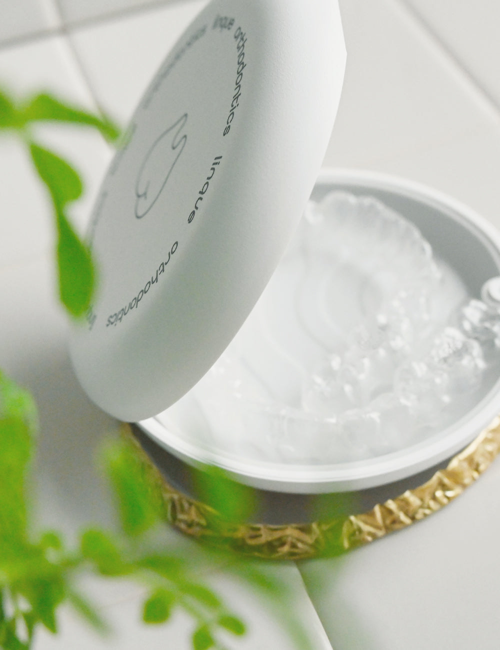 The Only One – linqüe