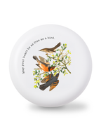 As a Bird