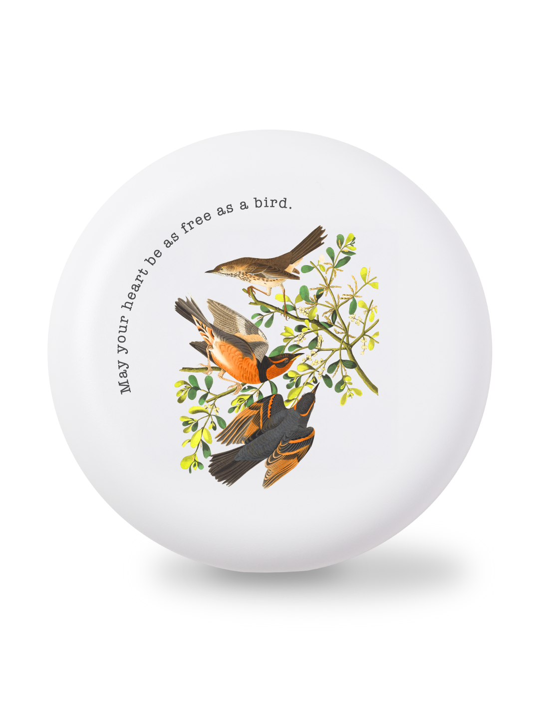 As a Bird